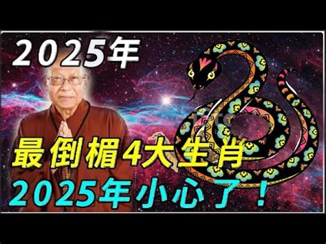 蛇皮好運|【2025蛇年開運攻略】點光明燈、安太歲燈，掌握財位禁忌，好。